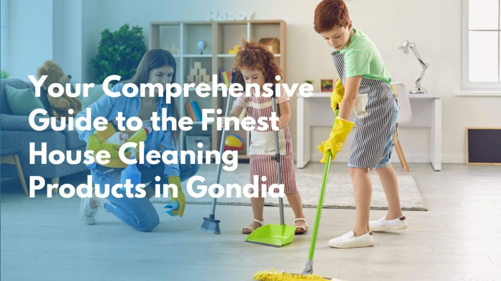 House Cleaning Products in Gondia